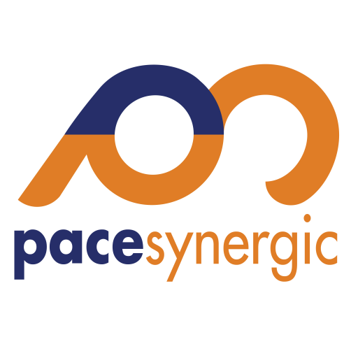 Apa Itu Career Path Pace Synergic apa-itu-career-path-pace-synergic